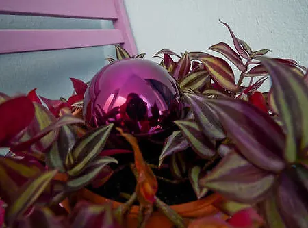 Apartahotel Galazia Naxos City
