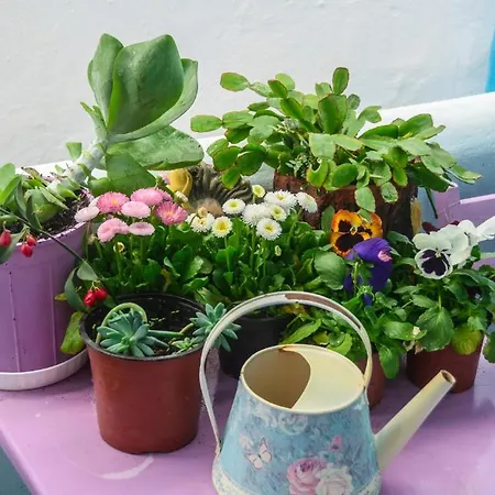 Lejlighedshotel Galazia 3*