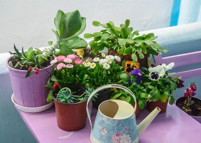 Aparthotel Galazia 3*